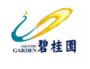 秦淮碧桂园地产